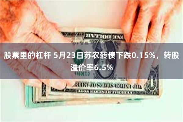 股票里的杠杆 5月23日苏农转债下跌0.15%，转股溢价率6.5%