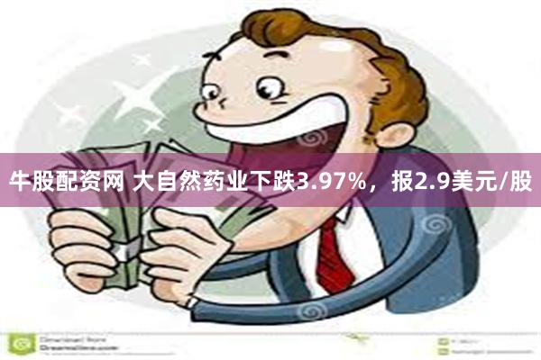 牛股配资网 大自然药业下跌3.97%，报2.9美元/股