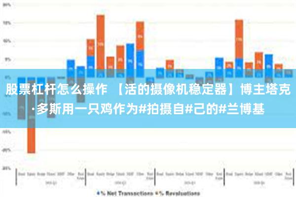 股票杠杆怎么操作 【活的摄像机稳定器】博主塔克·多斯用一只鸡作为#拍摄自#己的#兰博基