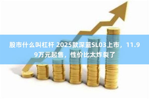 股市什么叫杠杆 2025款深蓝SL03上市，11.99万元起售，性价比太炸裂了