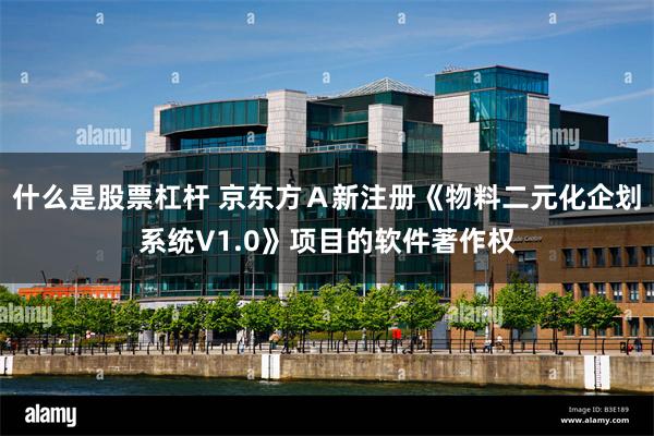 什么是股票杠杆 京东方Ａ新注册《物料二元化企划系统V1.0》项目的软件著作权