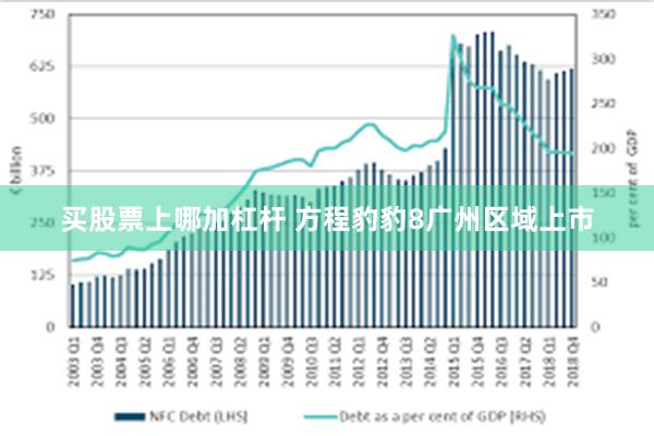 买股票上哪加杠杆 方程豹豹8广州区域上市