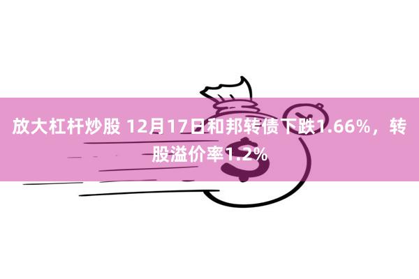 放大杠杆炒股 12月17日和邦转债下跌1.66%，转股溢价率1.2%