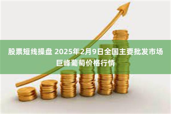 股票短线操盘 2025年2月9日全国主要批发市场巨峰葡萄价格行情