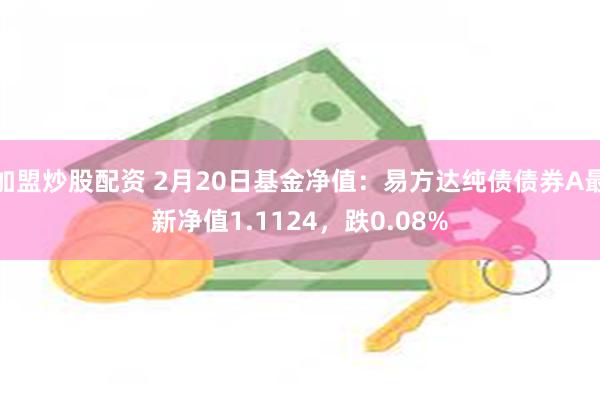 加盟炒股配资 2月20日基金净值：易方达纯债债券A最新净值1.1124，跌0.08%